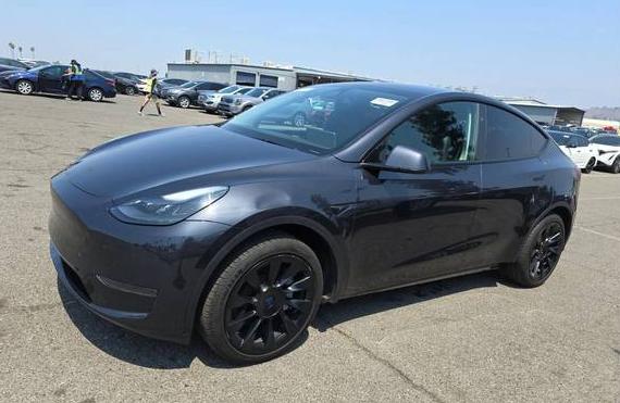 TESLA MODEL Y 2024 7SAYGDED0RF132212 image